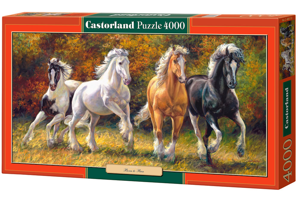 Castorland 1000 Piece Jigsaw Puzzle Kilimanjaro Morning 
